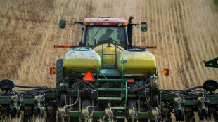 EEUU vuelve a rebajar la estimaci&oacute;n de la producci&oacute;n mundial de ma&iacute;z y soja