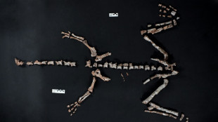 One of world's oldest dinosaurs discovered in Argentina