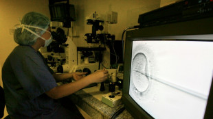 Australie: une clinique de fécondation in-vitro admet s'être trompée d'embryon