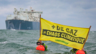 Le Havre: Greenpeace tente en vain d'emp&ecirc;cher l'arriv&eacute;e du terminal m&eacute;thanier
