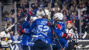 DEL: Mannheim erster Finalist