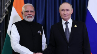 SOZ-Gipfel: Putin trifft Modi und Erdogan zu bilateralen Gespr&auml;chen in China