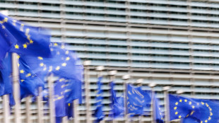 Ue, 'nuovi dazi Usa in linea con accordo di Turnberry, rispettare impegni'