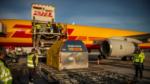 La empresa de log&iacute;stica alemana DHL suspende los env&iacute;os a Rusia y Bielorrusia