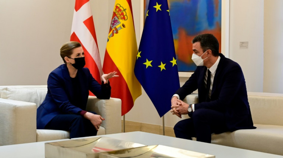 Espa&ntilde;a y Dinamarca, opuestas a considerar "verdes" el gas y la energ&iacute;a nuclear