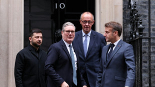 Zelensky meets pope, prepares revised plan on Russia war