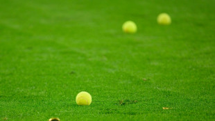 Torcedores alem&atilde;es em p&eacute; de guerra contra acordo comercial entre clubes e investidores