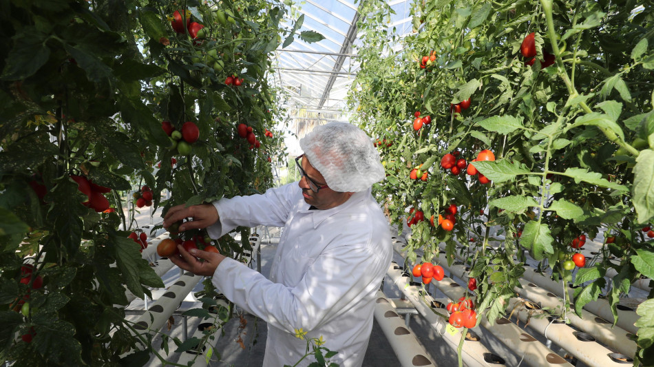 Wef, l'economia green varrà 7.000 miliardi di dollari nel 2030