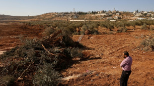 Excavadoras israel&iacute;es arrancan cientos de &aacute;rboles de palestinos en Cisjordania