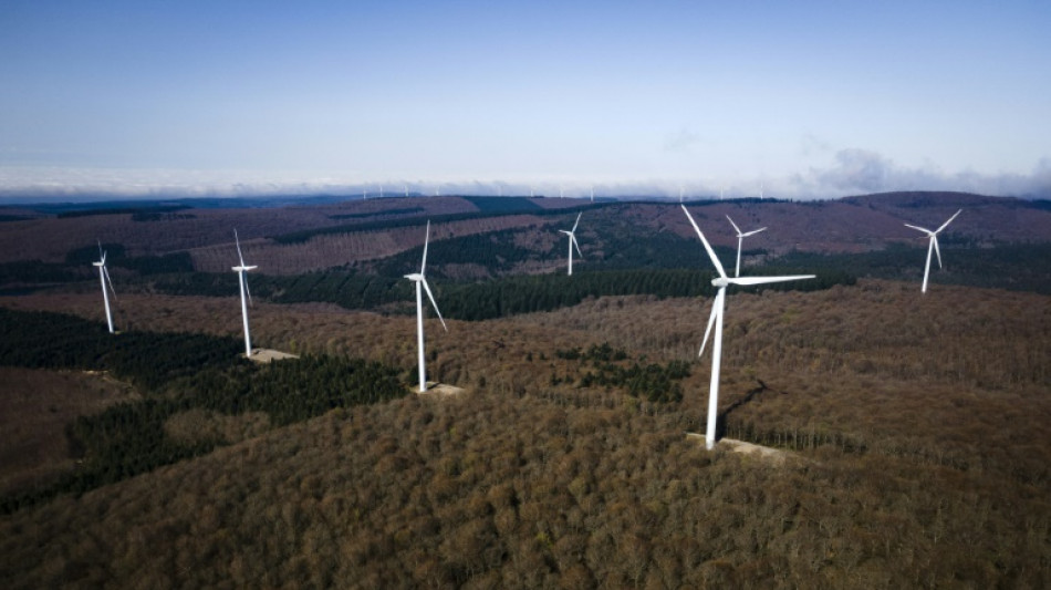 Energies renouvelables: les macronistes lorgnent &agrave; gauche pour l'arriv&eacute;e &agrave; l'Assembl&eacute;e