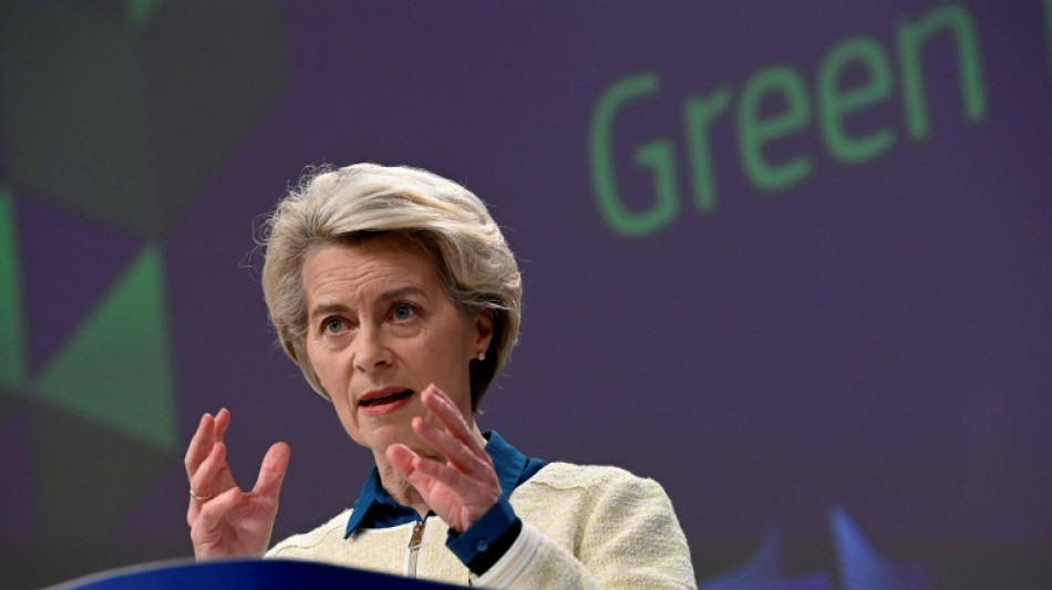 Bruxelles veut autoriser des aides d'&Eacute;tat pour la transition verte