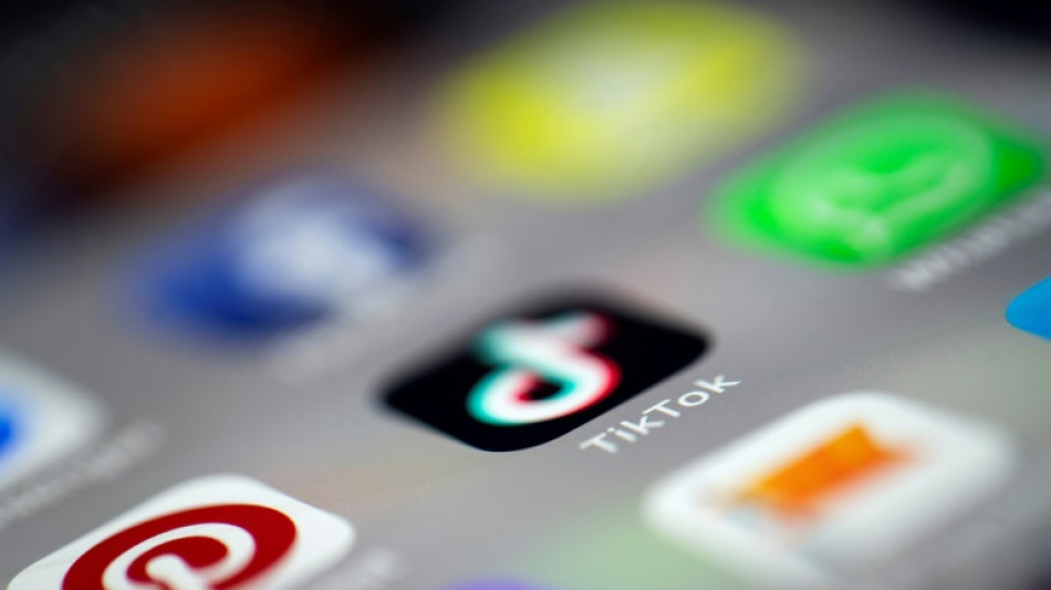 Alb&acirc;nia suspender&aacute; acesso ao TikTok por pelo menos um ano