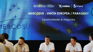 Paraguay approva l'accordo Mercosur-Ue, ora attesa la firma del presidente Pe&ntilde;a