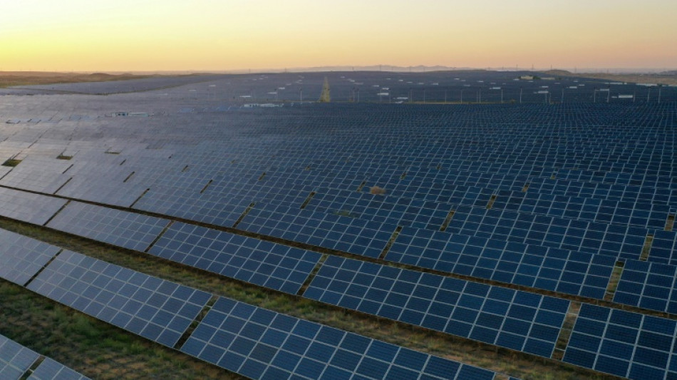 Renewables overtake coal but growth slows: reports 