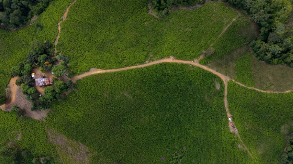 Sudoeste da Col&ocirc;mbia vai &agrave;s urnas em clima marcado pela viol&ecirc;ncia