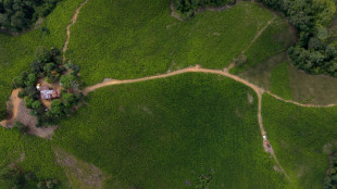 Sudoeste da Col&ocirc;mbia vai &agrave;s urnas em clima marcado pela viol&ecirc;ncia
