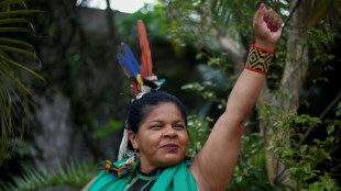 Ind&iacute;genas brasile&ntilde;os esperan pasar la p&aacute;gina de Bolsonaro