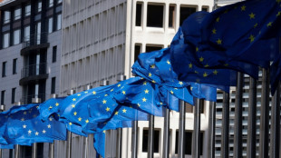 UE adota tarifas adicionais de at&eacute; 38% sobre ve&iacute;culos el&eacute;tricos chineses