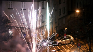 Allemagne: cinq morts et un policier gri&egrave;vement bless&eacute; par des feux d'artifice
